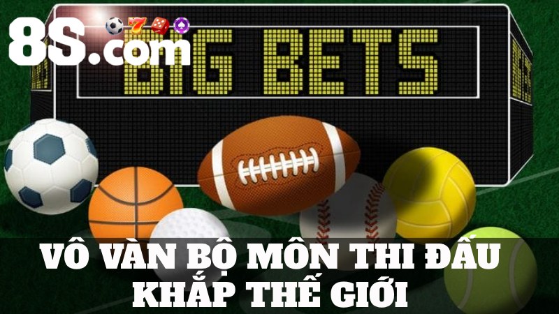 Cá cược thể thao 8s Vô vàn bộ môn thi đấu