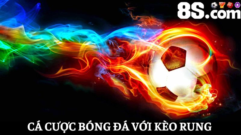 cược bóng đá 8S kèo rung