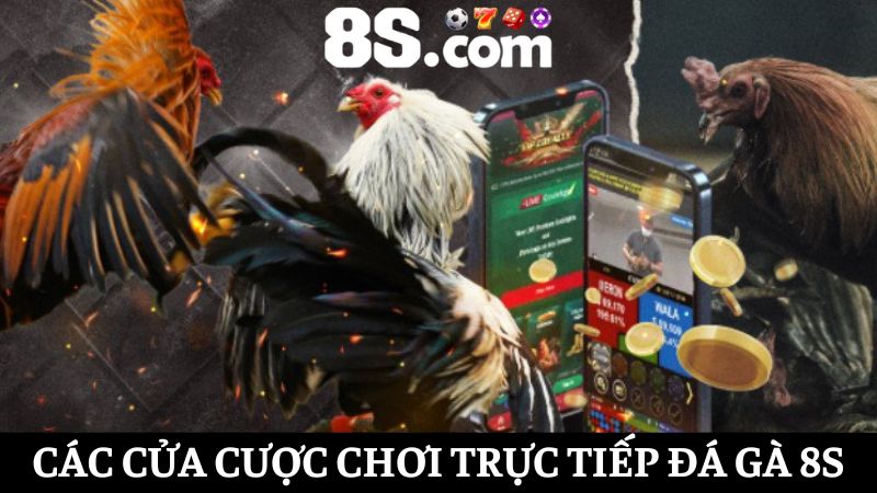 Trực tiếp đá gà 8S có nhiều cửa cược hấp dẫn
