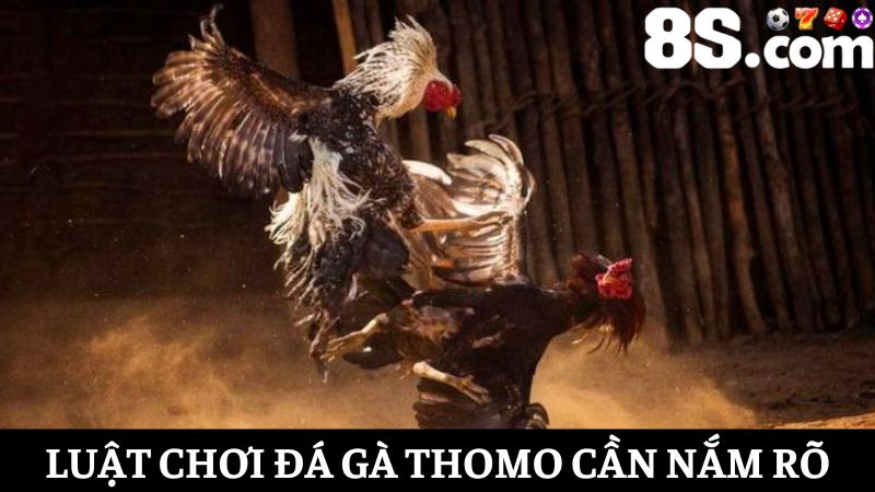 Luật chơi đá gà Thomo 8S