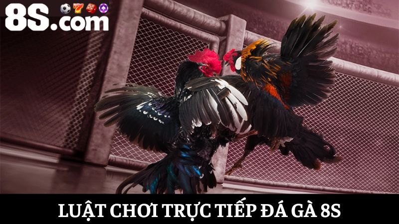 Luật chơi Trực tiếp đá gà 8S