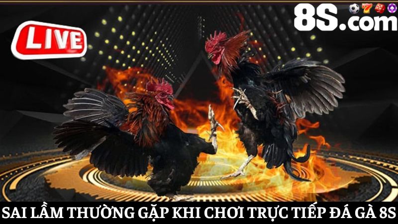 Sai lầm cần tránh khi tham gia Trực tiếp đá gà 8S