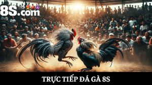 Trực tiếp đá gà 8S